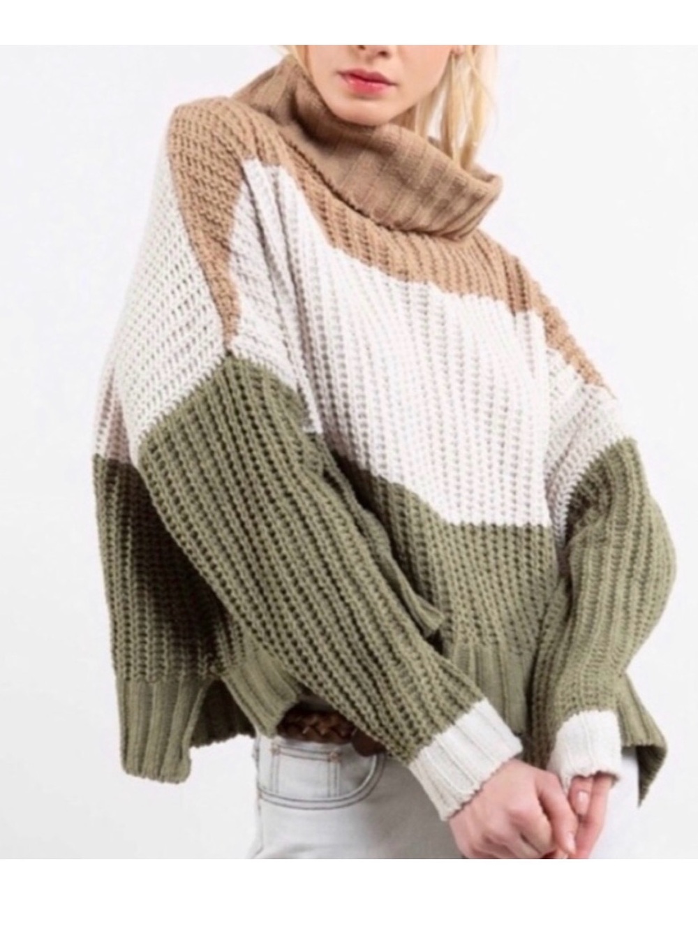 POL Olive, Cream & Tan Colorblock Turtleneck Sweater